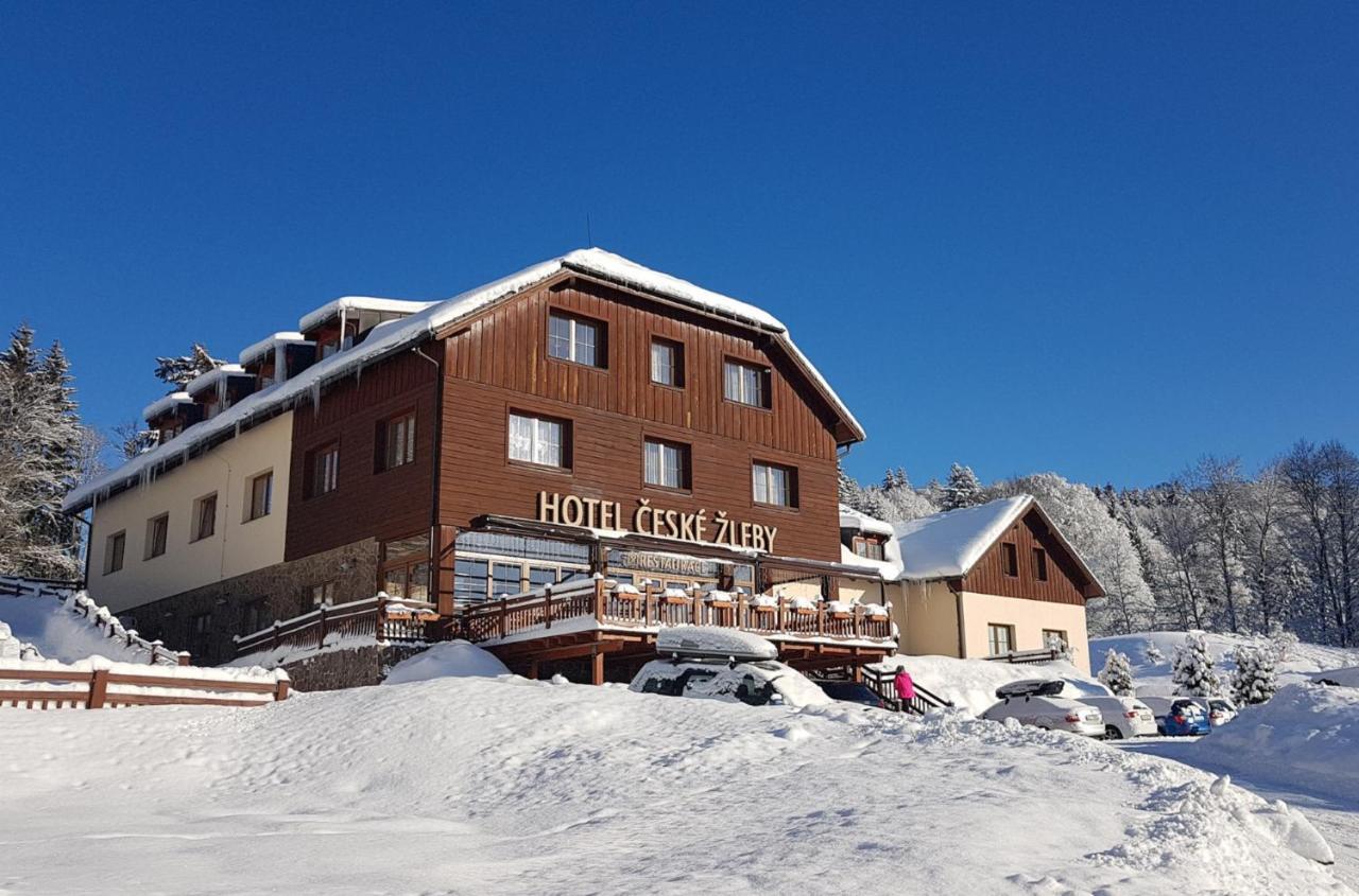 Hotel Ceske Zleby Stožec Exterior foto